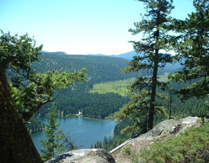 Visitors and Company Image